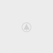 wood-gallery-placeholder-5 wood-gallery-placeholder-5